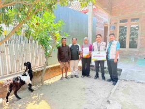 bantuan kambing
